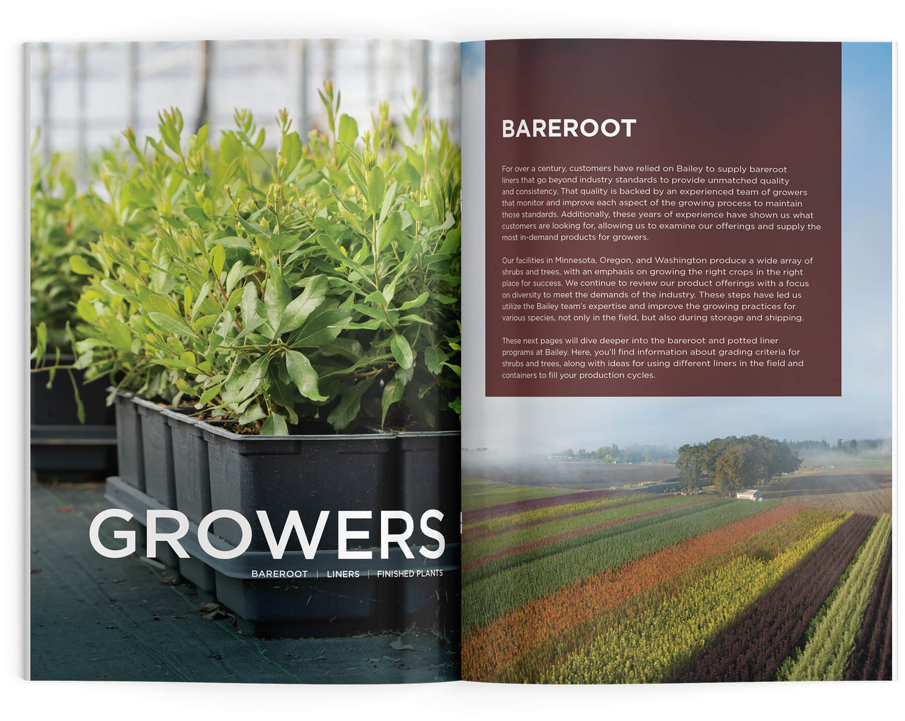 New Bailey Nurseries Catalog for 2025 Bailey Nurseries