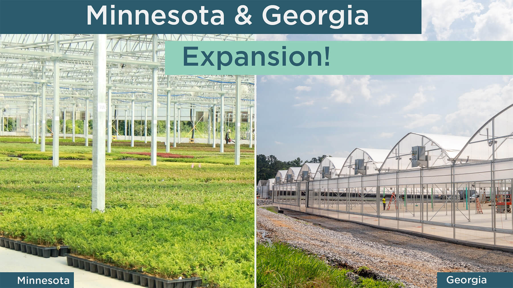 Growing for the Future: New Greenhouses