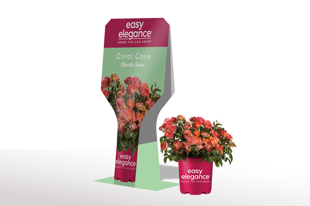 http://Easy%20Elegance%20Roses%20Coral%20Cove%20POP%20Display